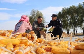 冰城公安：多元化解 从田间地头走进百姓心头