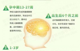 智倍佳藻油DHA—科学新配比，领航新选择！