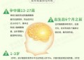 智倍佳藻油DHA—科学新配比，领航新选择！